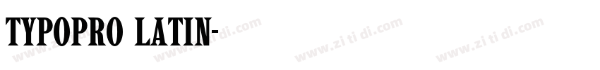 TypoPRO Latin字体转换